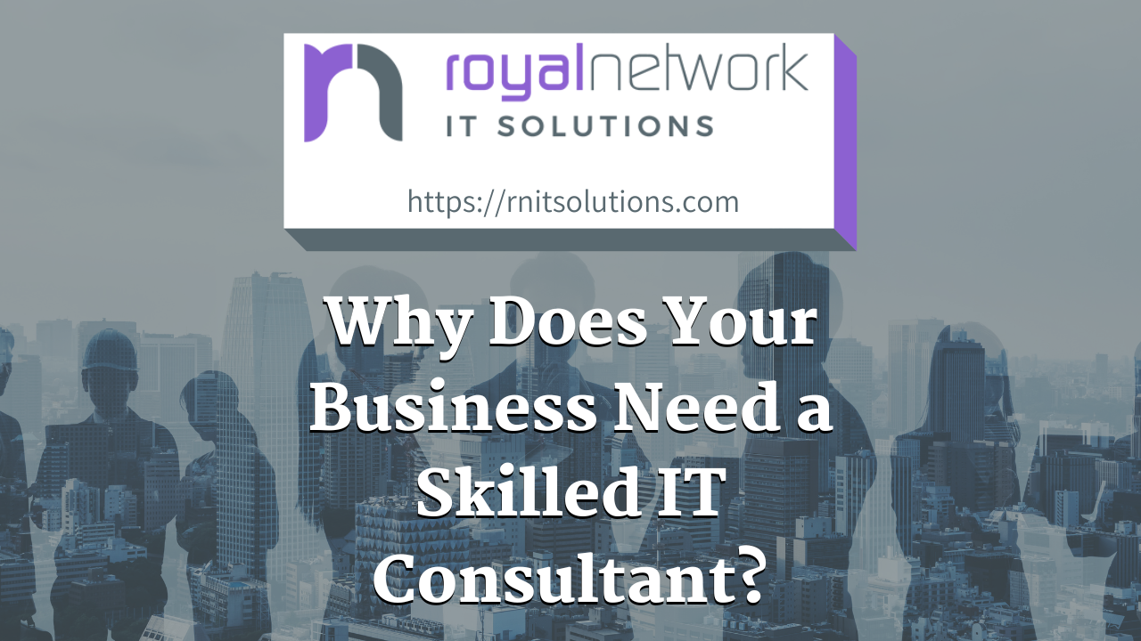 Why Does Your Business Need a Skilled IT Consultant?